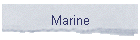 Marine