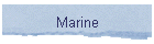 Marine